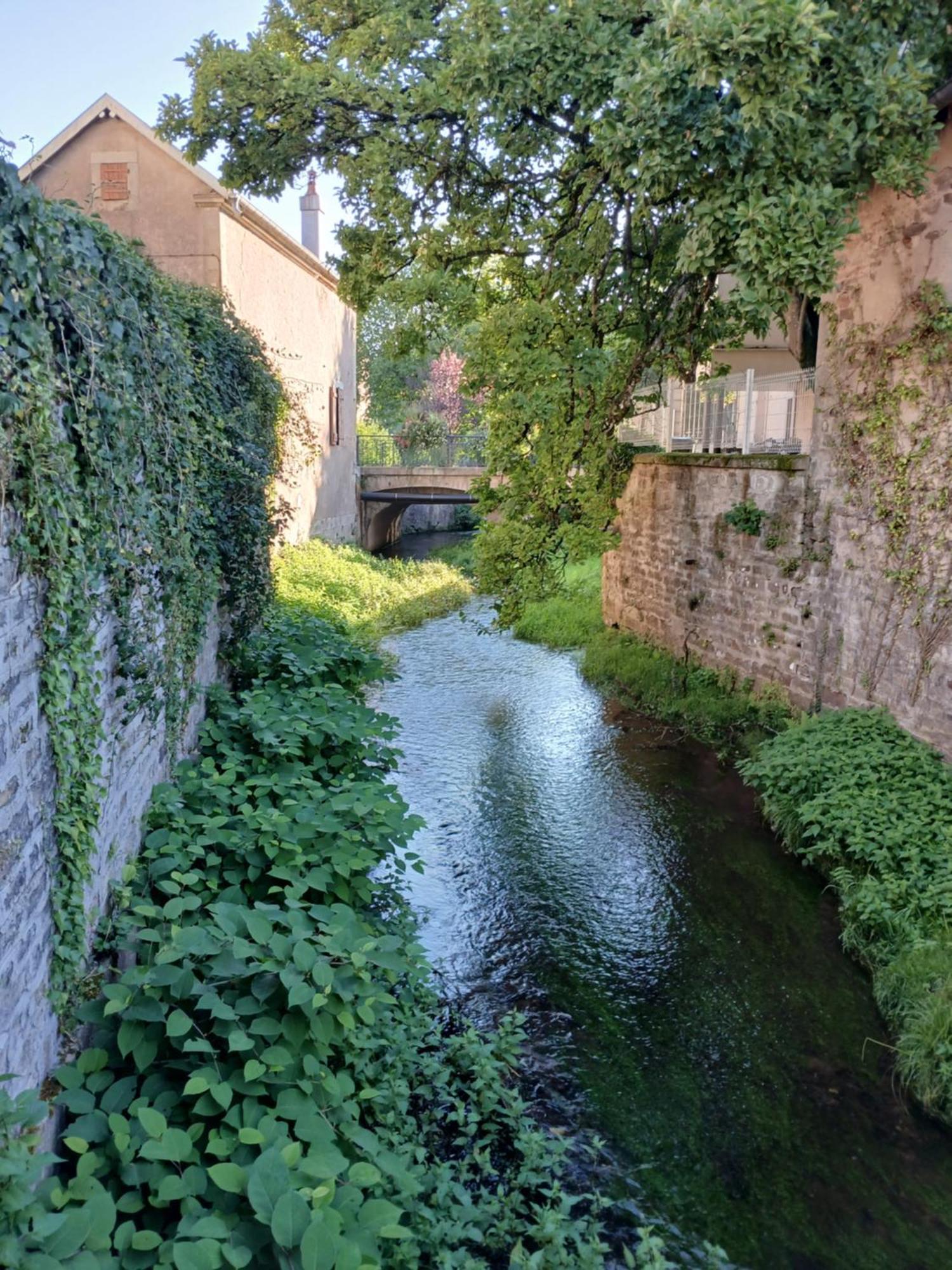 Manoir La Cerise Bed and Breakfast Fougerolles-Saint-Valbert Exteriör bild